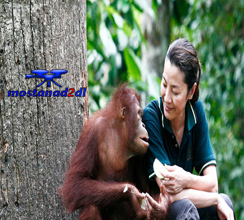 دانلود Among The Great Apes With Michelle Yeoh - مستند دوبله فارسی میمون های غول پیکر